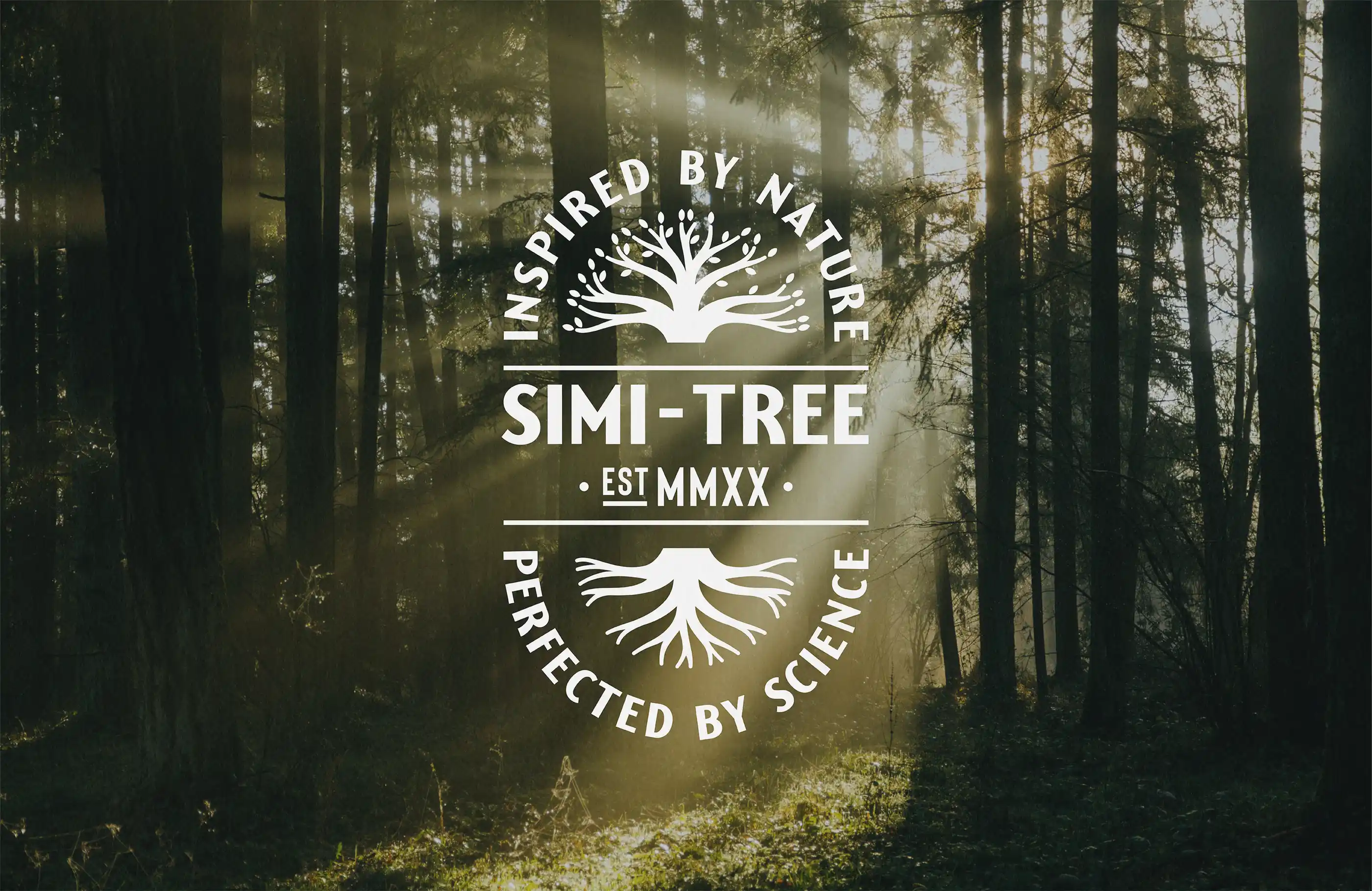 Simi-Tree logo lockup against photo of dense forest.